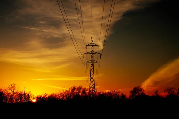 Gün Batımında Elektrik Hatları — Stok fotoğraf