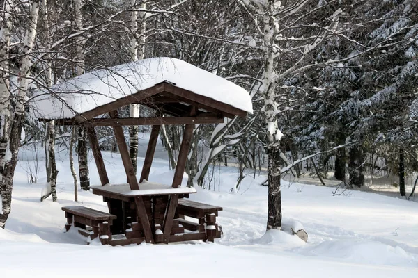 Pavillon Für Ein Picknick Winterwald — Stockfoto