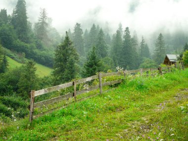 Karpat Dağları'nda sabah sis 