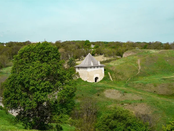 Grüne Natur Und Festung Khotyn — Stockfoto