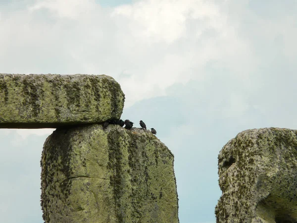 Een Kudde Kraaien Stonehenge — Stockfoto