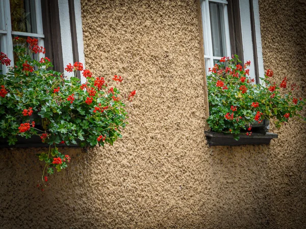 Belles Boîtes Fleurs Fenêtre Colorées — Photo