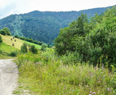 Karpat dağlarına giden yol 