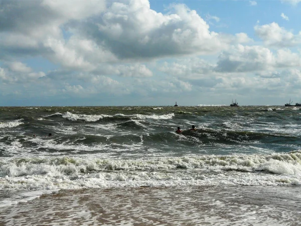 Mar Nadando Antes Tormenta — Foto de Stock