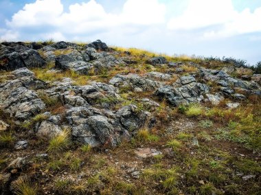 Prag 'daki Kozak Kayası Taşları 