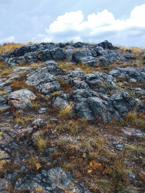 Kozak Kayası 'nın taşları Divoka Sarka 