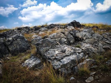 Prag 'daki parkta taşlar 