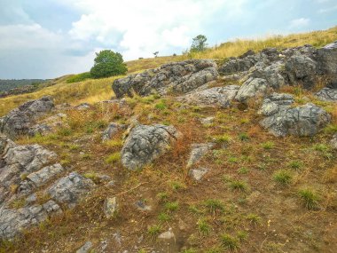 Prag Parkı 'nın güzel yaz manzarası