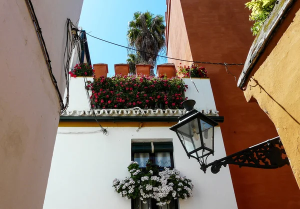 Una Hermosa Calle Antigua Sevilla — Foto de Stock