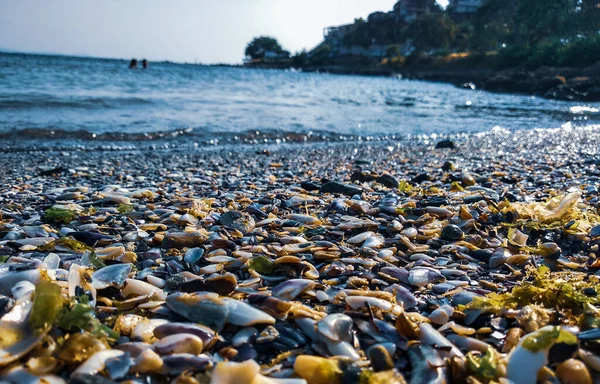 Increíble Vista Playa Bulgaria — Foto de Stock