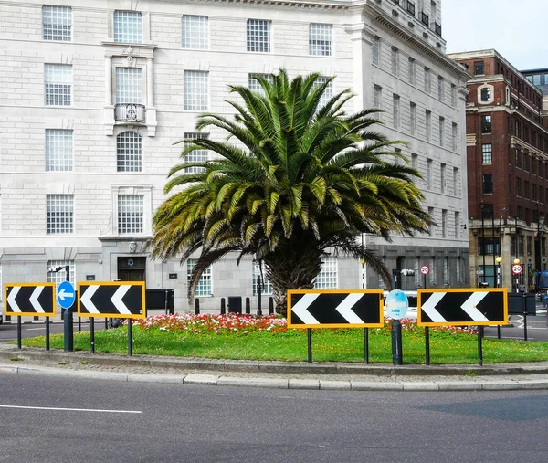 Londra Nın Merkezinde Yeşil Bir Avuç — Stok fotoğraf