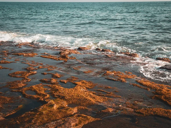 Denizin güzel renkleri