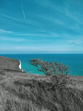 Dover doğasının mavi ve siyah renkleri 