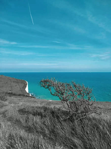 Cores Azuis Pretas Natureza Dover — Fotografia de Stock