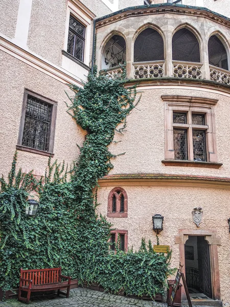 Die Burg Konopiste Benesov Tschechien — Stockfoto