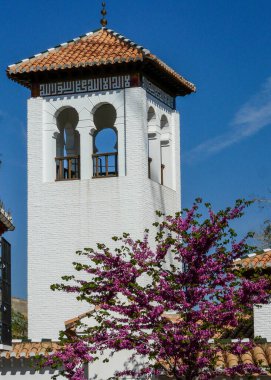 Granada Camii ve güzel bir ağaç. 
