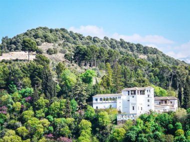 Endülüs Granadasının güzel doğası 