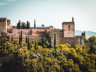 Alhambra 'nın renkli bir resmi. 