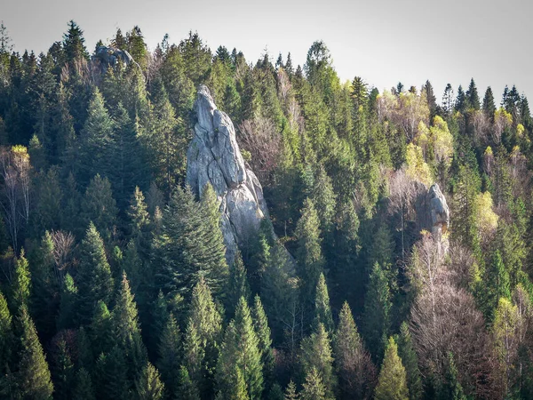 Stone Peak Carpathian Mountains — Stock Photo, Image