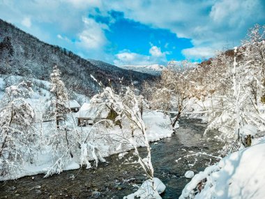 Kışın Kosivska Poliana Köyü 