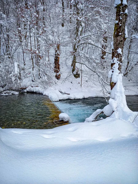 Kosivska Nehri 'nin Renkleri 