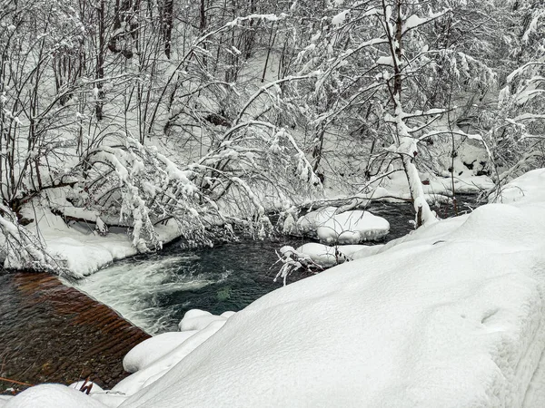 Beautiful Snowy Day Carpathian Mountains — Zdjęcie stockowe