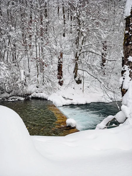 Kosivska Nehri 'nin Şelaleleri 