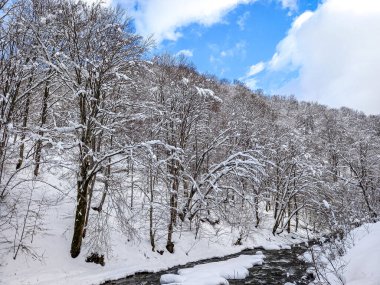  Kışın Karpat Dağları ve Kosivska Nehri 