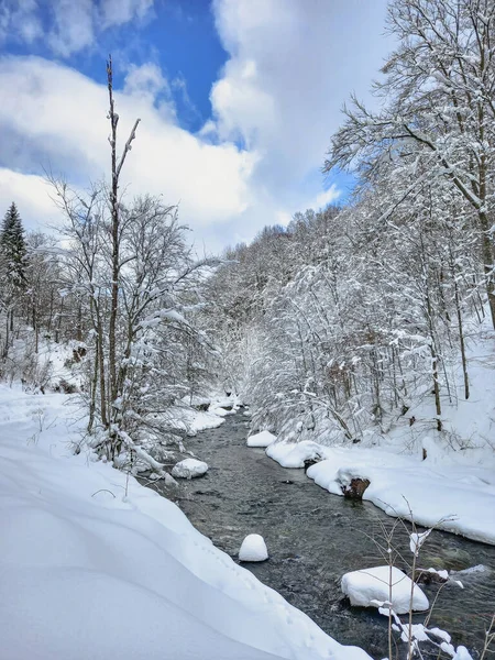 Karpatlar 'da güzel beyaz bir vadi 
