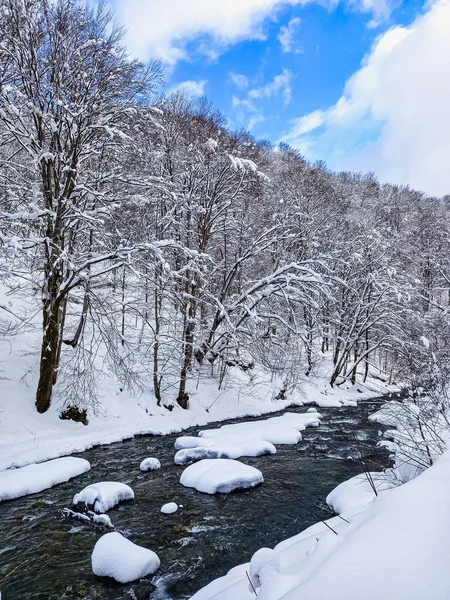 Beyaz Karpat ormanları arasında Kosivska Nehri 