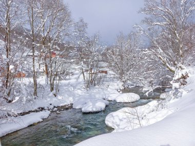 Karpatya dağlarında Ukrayna kışı 