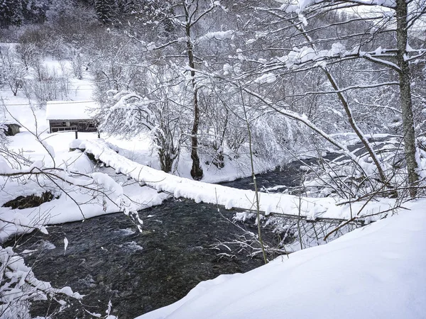 Kosivska Poliana 'da güzel beyaz bir köprü 