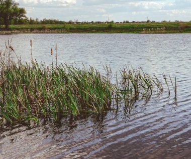 Dnipro Nehri 'nin güzel doğası. 