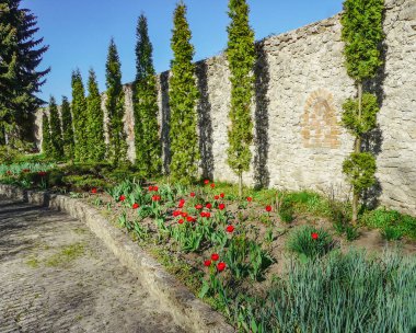 Dubno kalesinin güzel doğası 