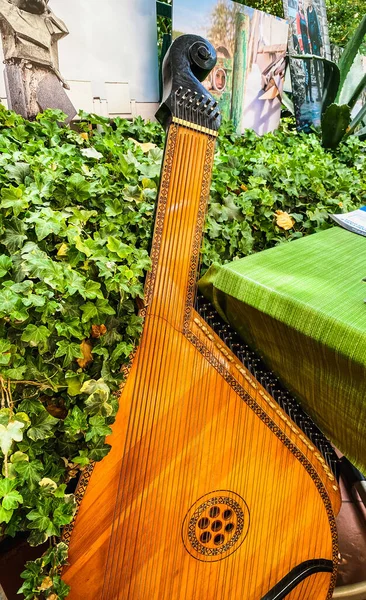 Bandura Ist Ein Traditionelles Ukrainisches Volksmusikinstrument — Stockfoto