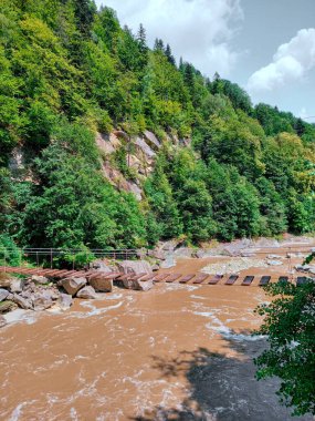 Ukrayna 'daki Prut Nehri 