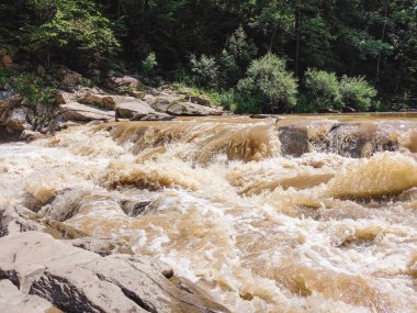 Prut Nehri 'nin Suyu ve Probiy Şelalesi 