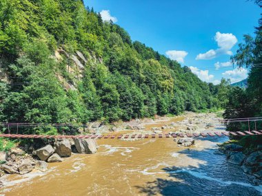 Güzel vahşi bir Ukrayna doğası. 