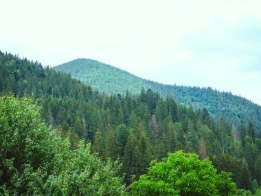 Carpathian dağlarının siluetleri 