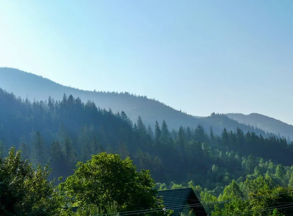 Ukrainian Mountains Summer Morning — Foto Stock