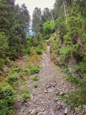 Hills of the Austrian mountains 