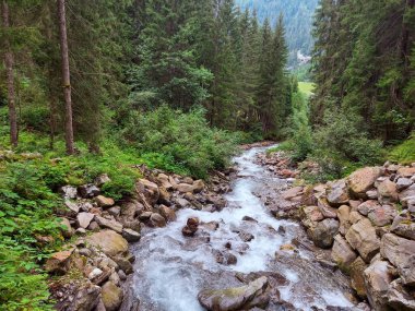 Fresh colors of the Austrian nature 