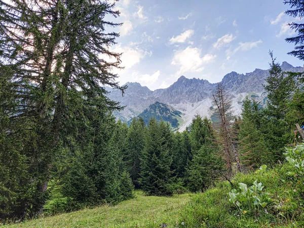 Beautiful Green Nature Somewhere Vorarlberg — 스톡 사진
