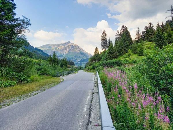 Beautiful Summer Alpine Landscape — Foto Stock