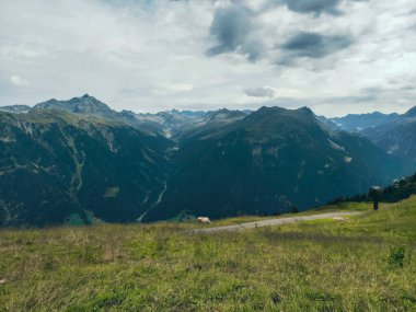 Alp dağlarının karanlığı 