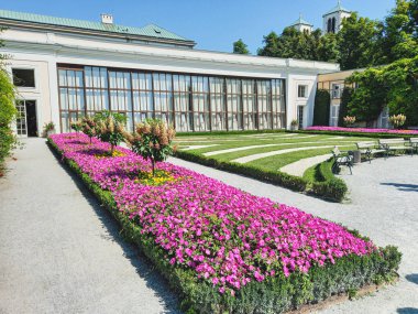 Salzburg 'daki Mirabell Sarayı' nın güzel renkli bir bahçesi. 