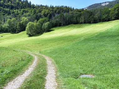 Au am Bregenzwald 'ın yeşil tepeleri 