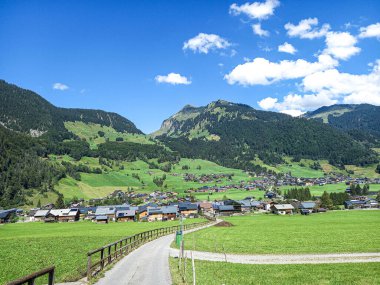 Yazın Au am Bregenzwald Panoraması 