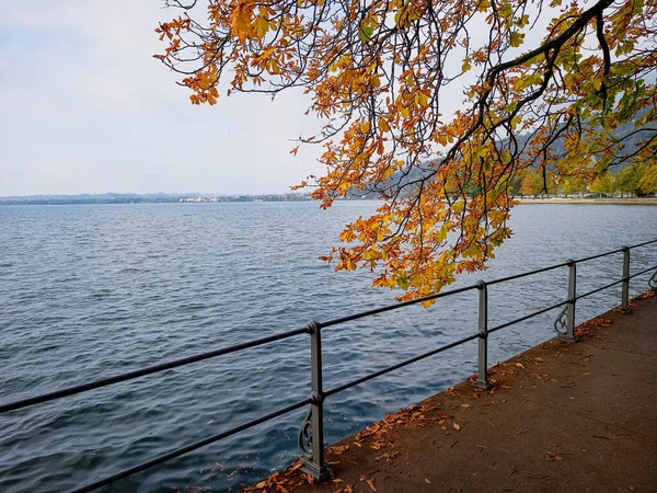 Jesień Nad Jeziorem Bodeńskim — Zdjęcie stockowe