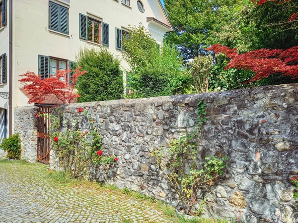 Promenade Dans Belle Vieille Rue Bregenz — Photo